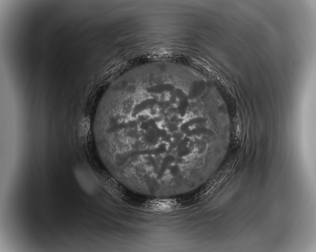 X0000097890711200803211355