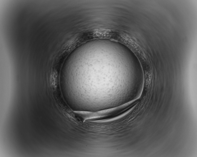 X0000097890712200803211355