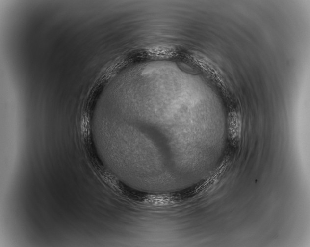 X0000097890713200803211355