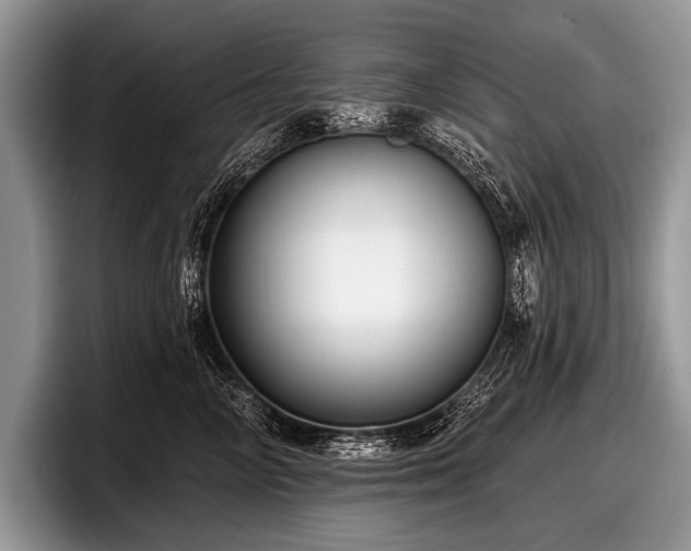 X0000097890714200803211355