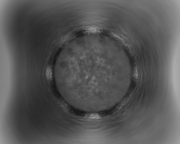 X0000097890715200803211355