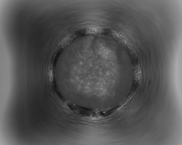 X0000097890716200803211355