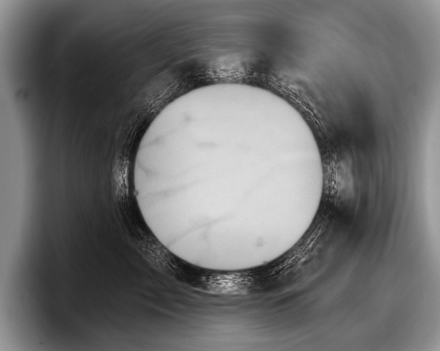 X0000097890717200803211355