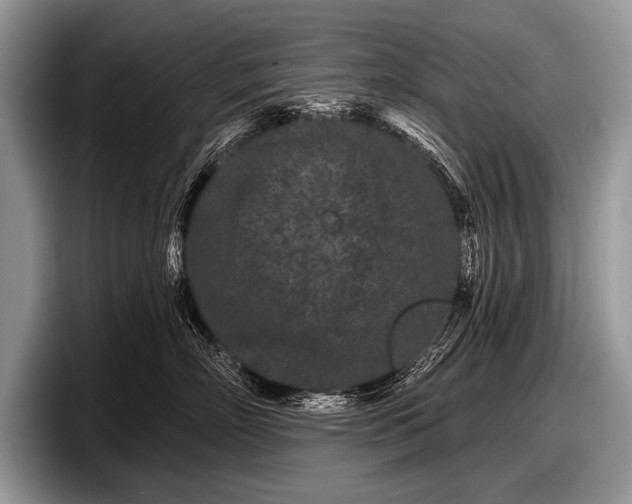 X0000097890718200803211355