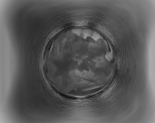 X0000097890721200803211355