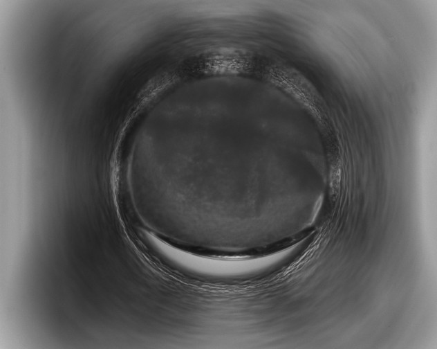 X0000097890722200803211355