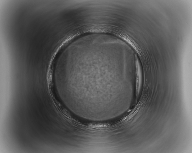 X0000097890723200803211355