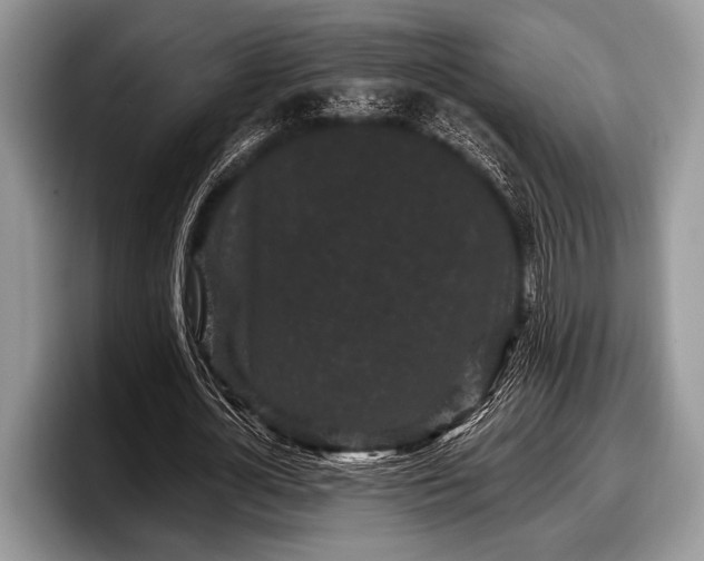 X0000097890724200803211355