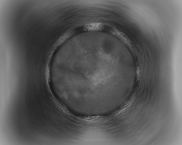 X0000097890725200803211355