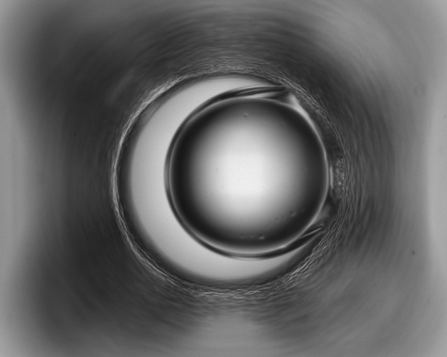 X0000097890726200803211355