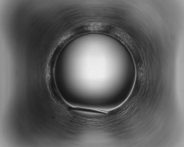 X0000097890727200803211355