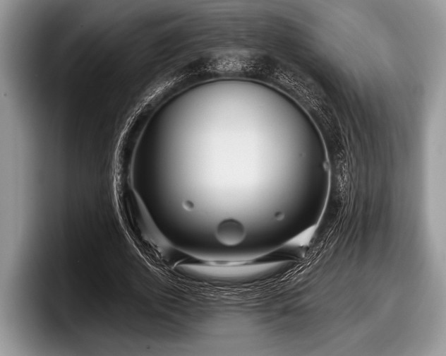 X0000097890728200803211355