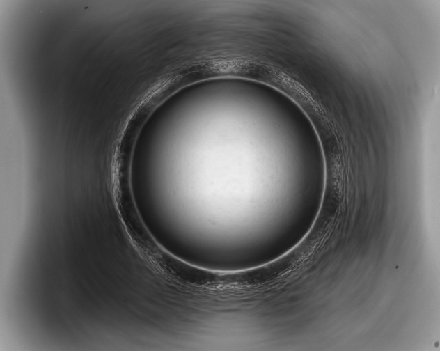 X0000097890730200803211355