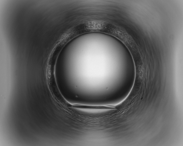 X0000097890731200803211355