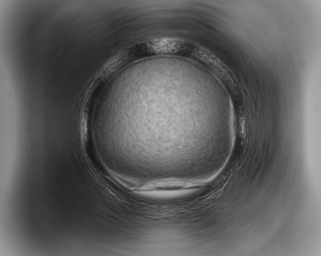 X0000097890733200803211355