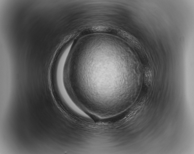 X0000097890734200803211355