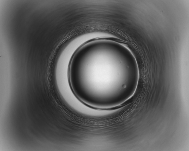 X0000097890735200803211355