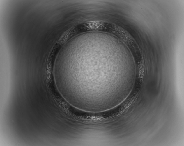 X0000097890737200803211355