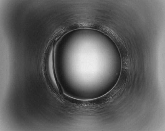 X0000097890738200803211355