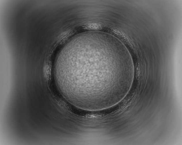 X0000097890739200803211355