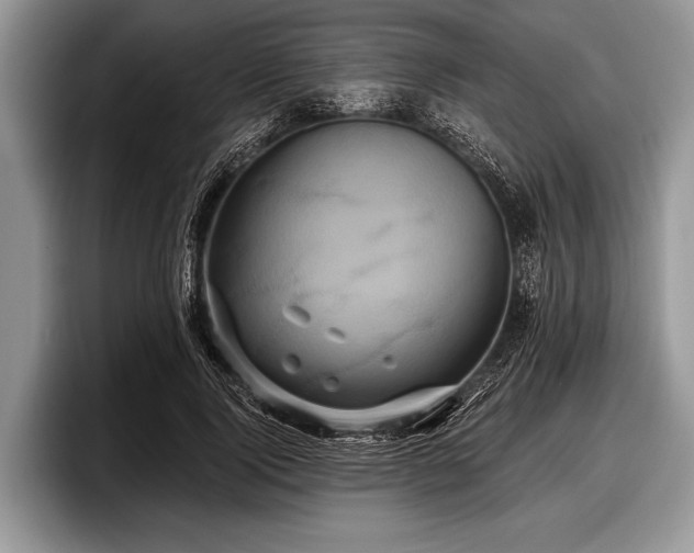 X0000097890740200803211355