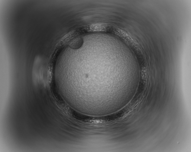 X0000097890741200803211355