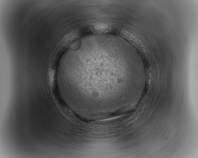 X0000097890742200803211355