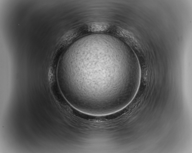 X0000097890743200803211355