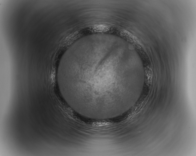 X0000097890745200803211355