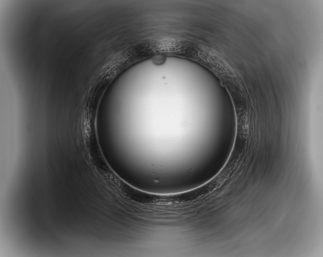 X0000097890746200803211355