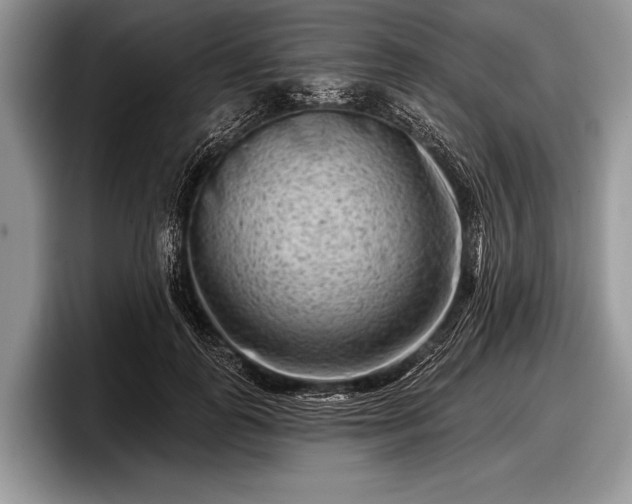 X0000097890747200803211355