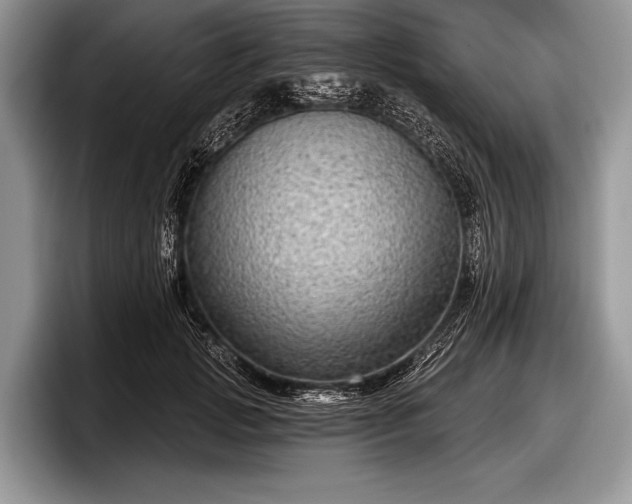 X0000097890749200803211355