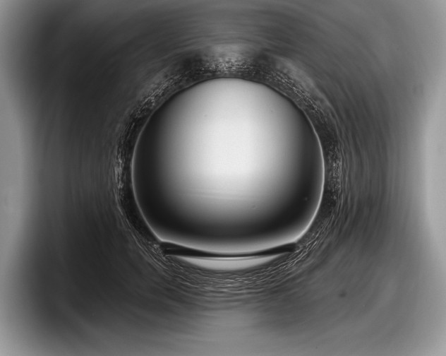 X0000097890750200803211355