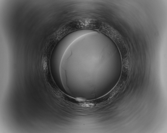 X0000097890754200803211355