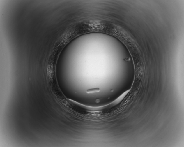 X0000097890756200803211355