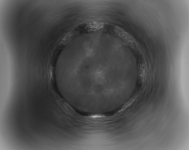 X0000097890758200803211355