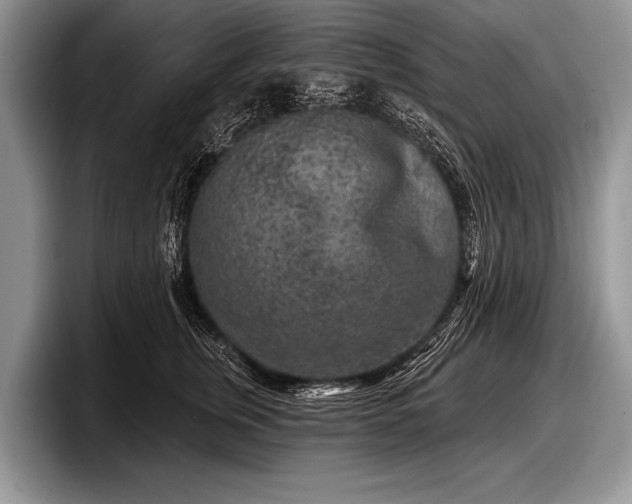 X0000097890759200803211355