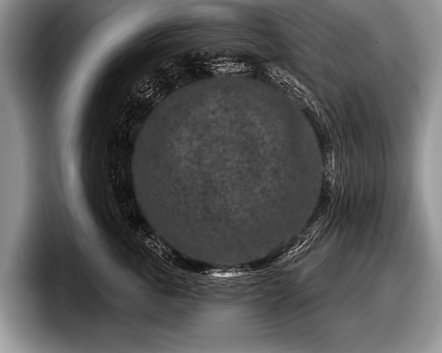 X0000097890763200803211355