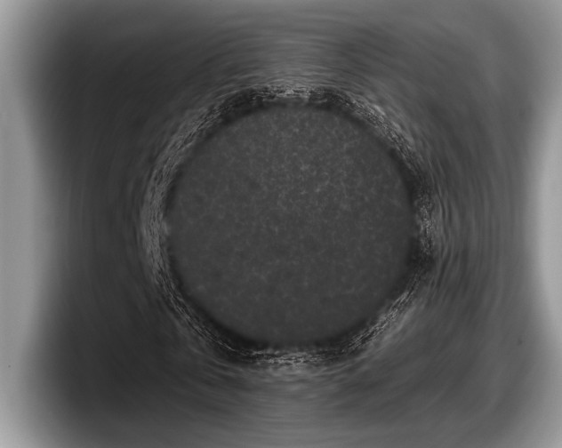 X0000097890769200803211355