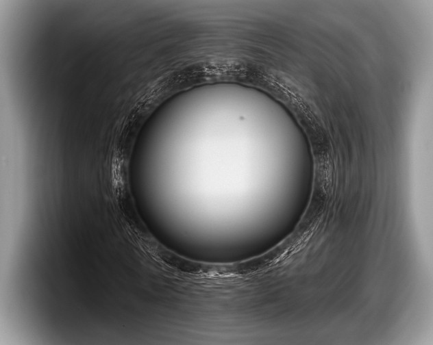 X0000097890770200803211355