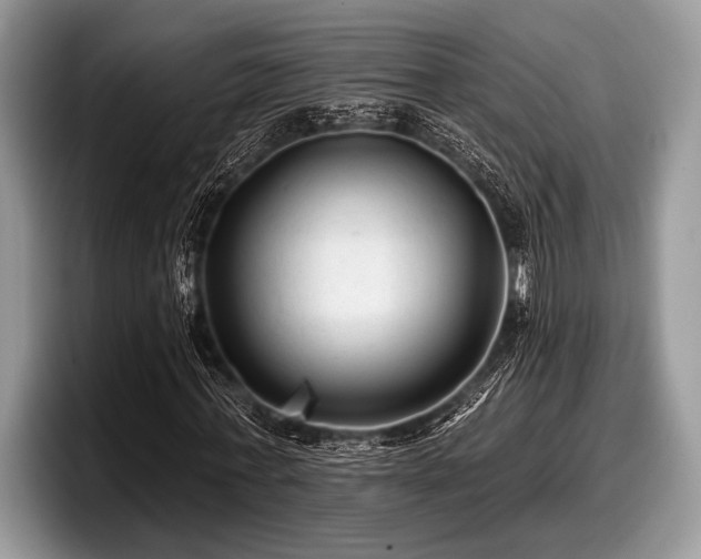 X0000097890771200803211355