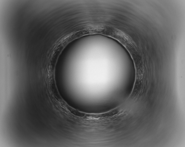 X0000097890773200803211355