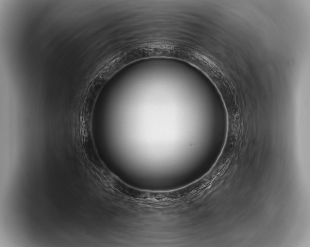 X0000097890774200803211355