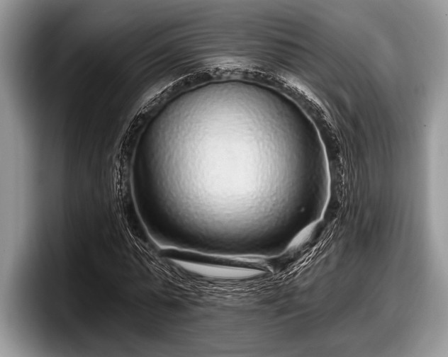 X0000097890775200803211354