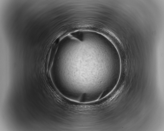 X0000097890777200803211354