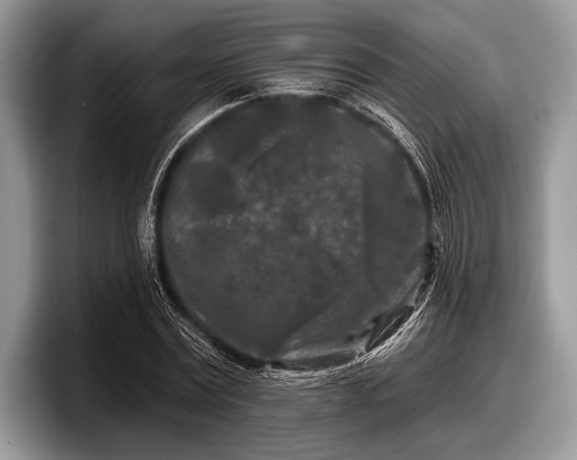 X0000097890779200803211354