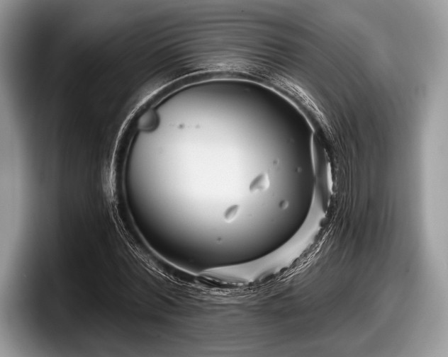 X0000097890780200803211354