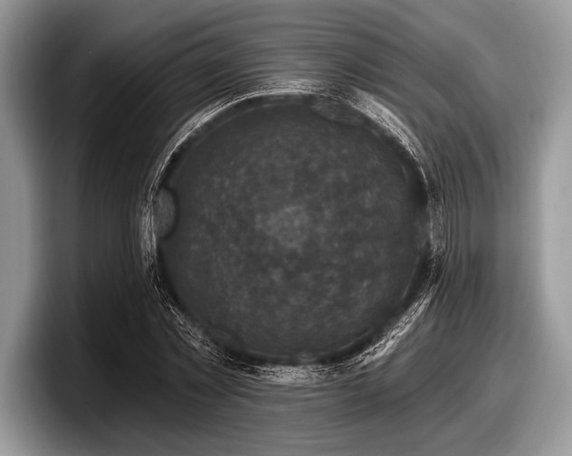 X0000097890781200803211354