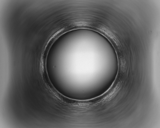 X0000097890782200803211354