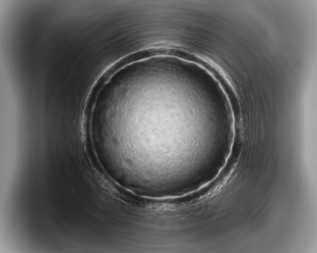 X0000097890783200803211354